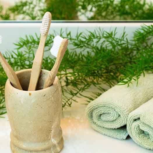 Toothbrushes in a clay cup